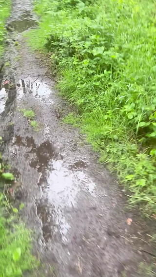 Left clothes and cum after a long walk naked