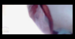GOON-TOBER BUTTERFLY WINGS