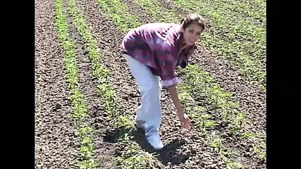 /beam/67a86349cc498f247e92bbca