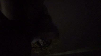 Fooling Around At Night Outside On The Sidewalk Fully Naked Final Part 5 Where I Nut On Yo Face