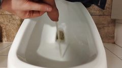 Piss and U Clean My Penis by WC in the Mall