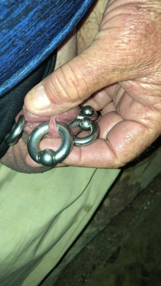 Pierced cock