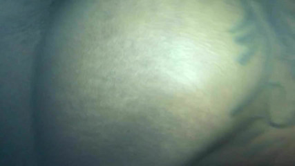 /beam/8577454