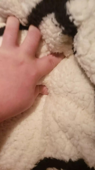 Humping my soft blanket to cumpletion thumbnail