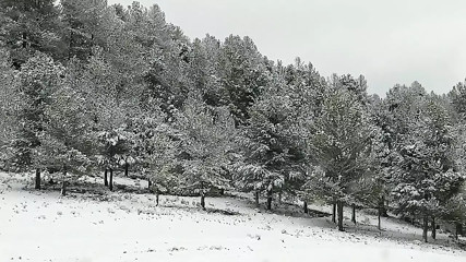 Snowing