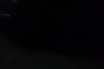 /beam/67a86043cc498f247e69bf32