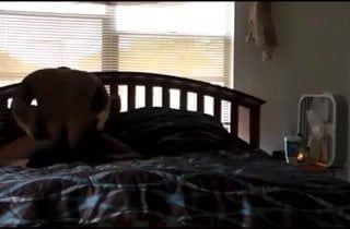 /beam/67a85e4dcc498f247e48a338