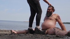 Gaspesie Cock Trampling