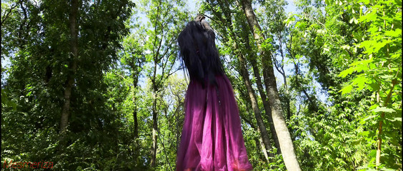 Mesmeriza Compilation 11 Island Of Desires