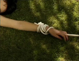 /beam/67a861ffcc498f247e829d9b