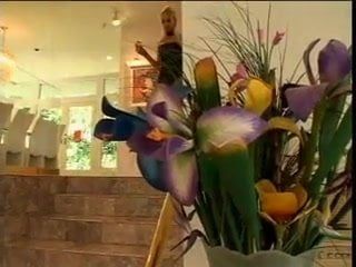 /beam/67a85de6cc498f247e4201a9