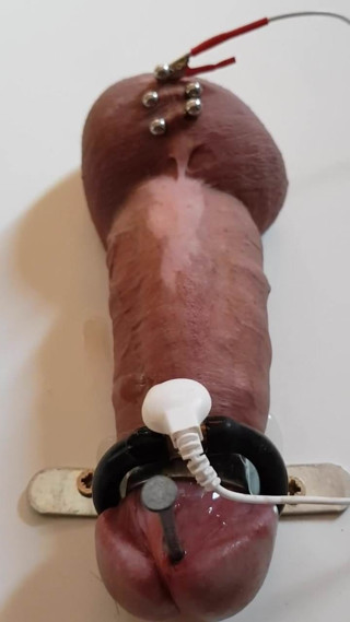 that cock
