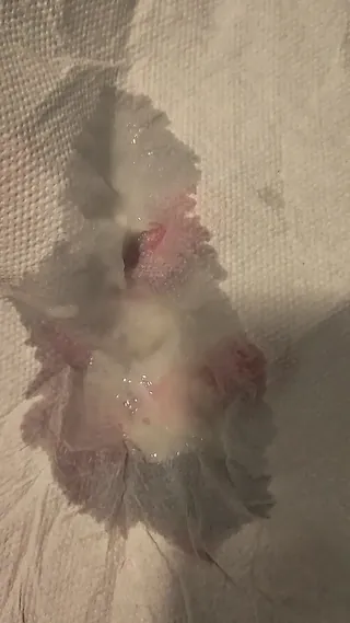 /beam/67a86389cc498f247e961189