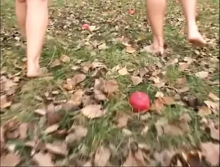 /beam/67a86214cc498f247e83a895