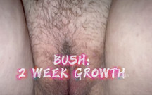 Thick BBW Hairy Pussy Show off