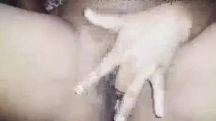 /beam/67a86288cc498f247e8941ae