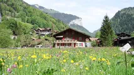 A hot young Asian guy masturbating and edging his cock with an oily cock massage that resulted to a full blast explosion