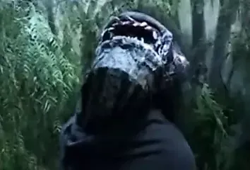 /beam/67a85fbfcc498f247e616f18