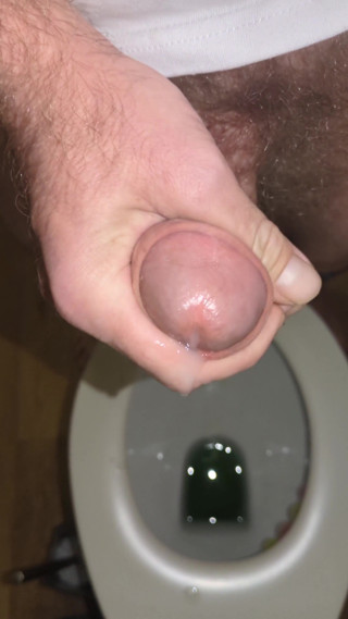 To Cum in the Toilet