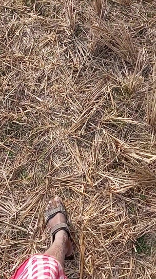 Gay Boy Outdoor Night Pussy Hole Sucking