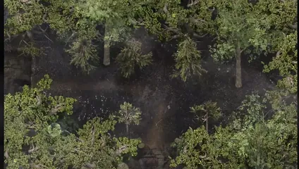 /beam/67a86322cc498f247e90c512