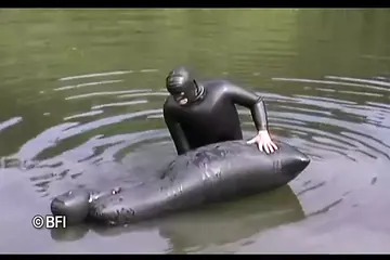 /beam/67a86378cc498f247e9527f9