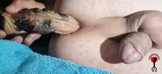 timmyboy sissy love to be penetrated in the ass thumbnail