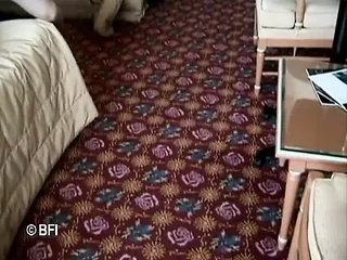 /beam/67a86378cc498f247e951fd8