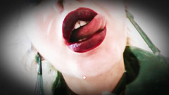 Compelled Into Kissing (part5)