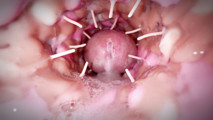 That prickly hole gave my cock more than three ex did