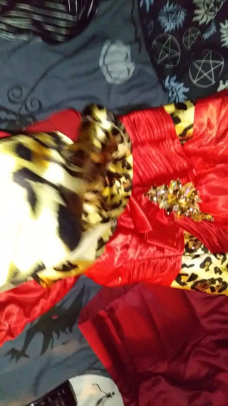 Cumming on bitchplayer's fav satin dress