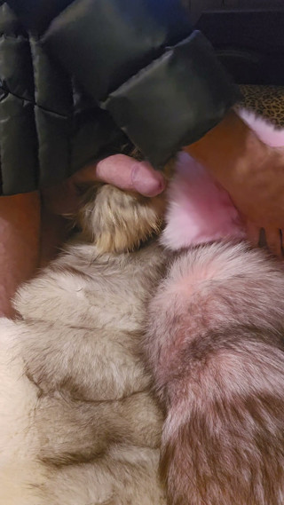 In fur puffer jacket touching and playing with myself with furry mittens.and fox fur coat