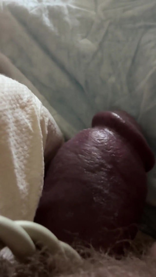 Hard, Cock