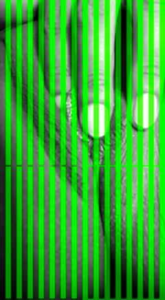 /beam/67a85efdcc498f247e546751