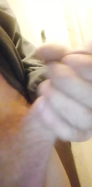 Looking for a playmate
