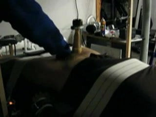 Venus milking machine 2