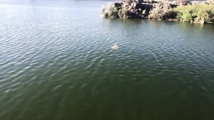 /beam/67a8633fcc498f247e9236e1