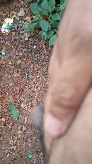 Dick fun free for your pussy..