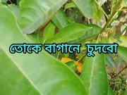 Bangladesh College girl sex in the garden