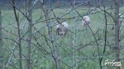 /beam/67a860b4cc498f247e70a8ce