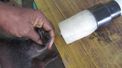 Home Made Male Fuking Machine Part 2 thumbnail