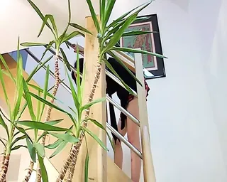 /beam/67a86376cc498f247e950424