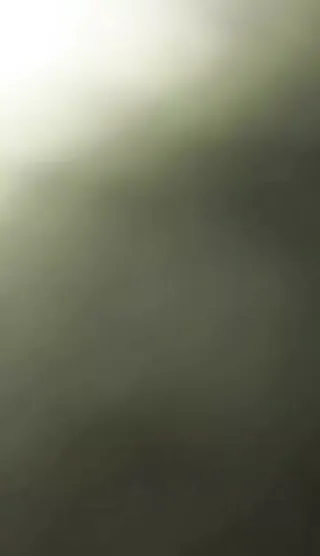 /beam/67a862a7cc498f247e8accc5