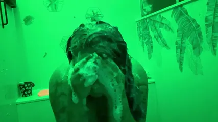 /beam/67a8626dcc498f247e88002b