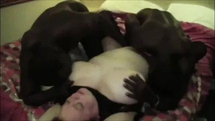 /beam/67a85f74cc498f247e5c51f3