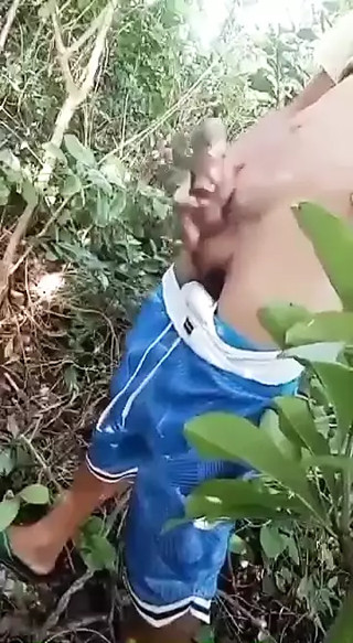 For entertainment purpose only