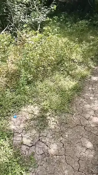 /beam/67a8635ccc498f247e93af90