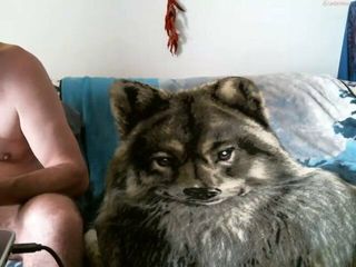 /beam/67a86124cc498f247e77329d