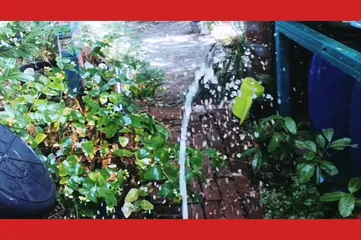 /beam/67a861dccc498f247e80ec13