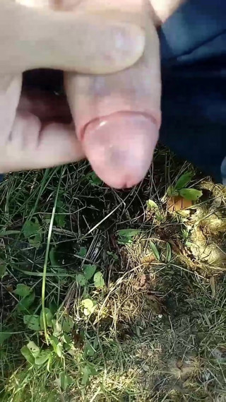 sperma